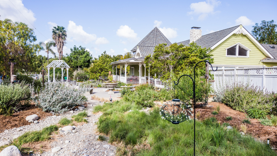 home with drought resistant plants in yard