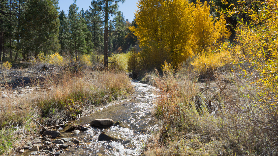 Santa Ana River
