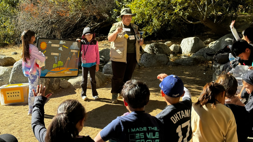 Outdoor education lesson